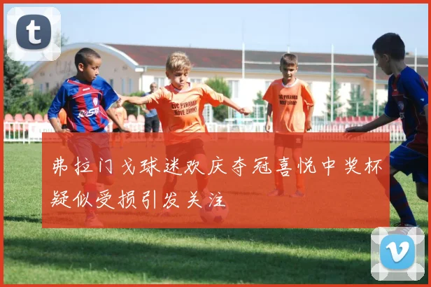 弗拉门戈球迷欢庆夺冠喜悦中奖杯疑似受损引发关注